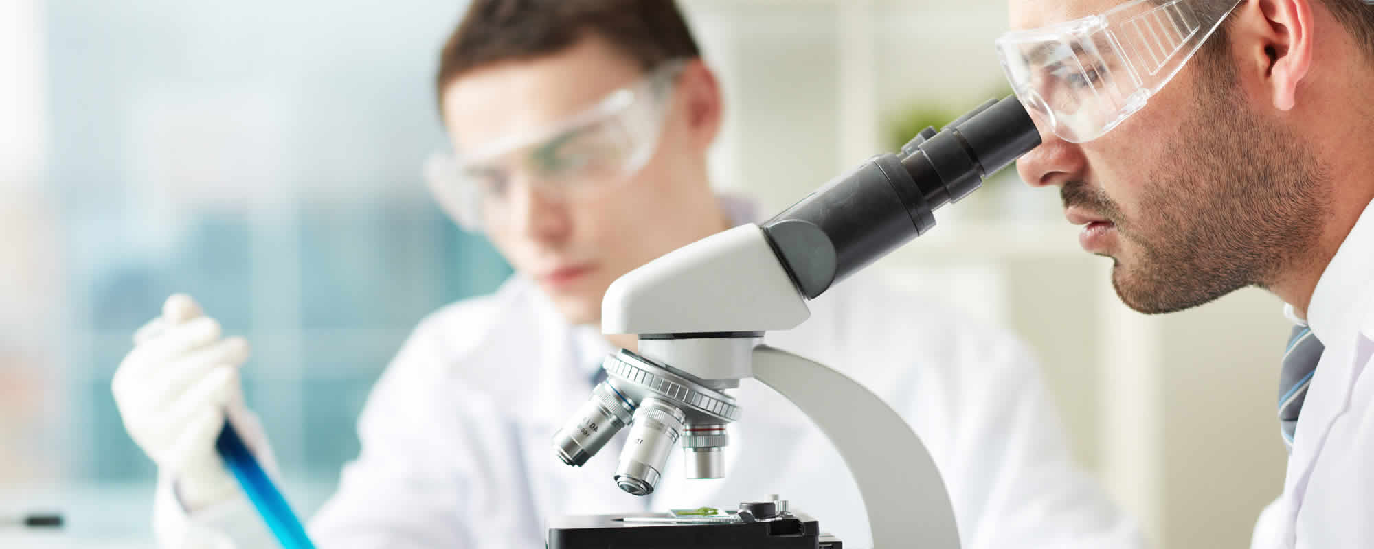 All lab investigations